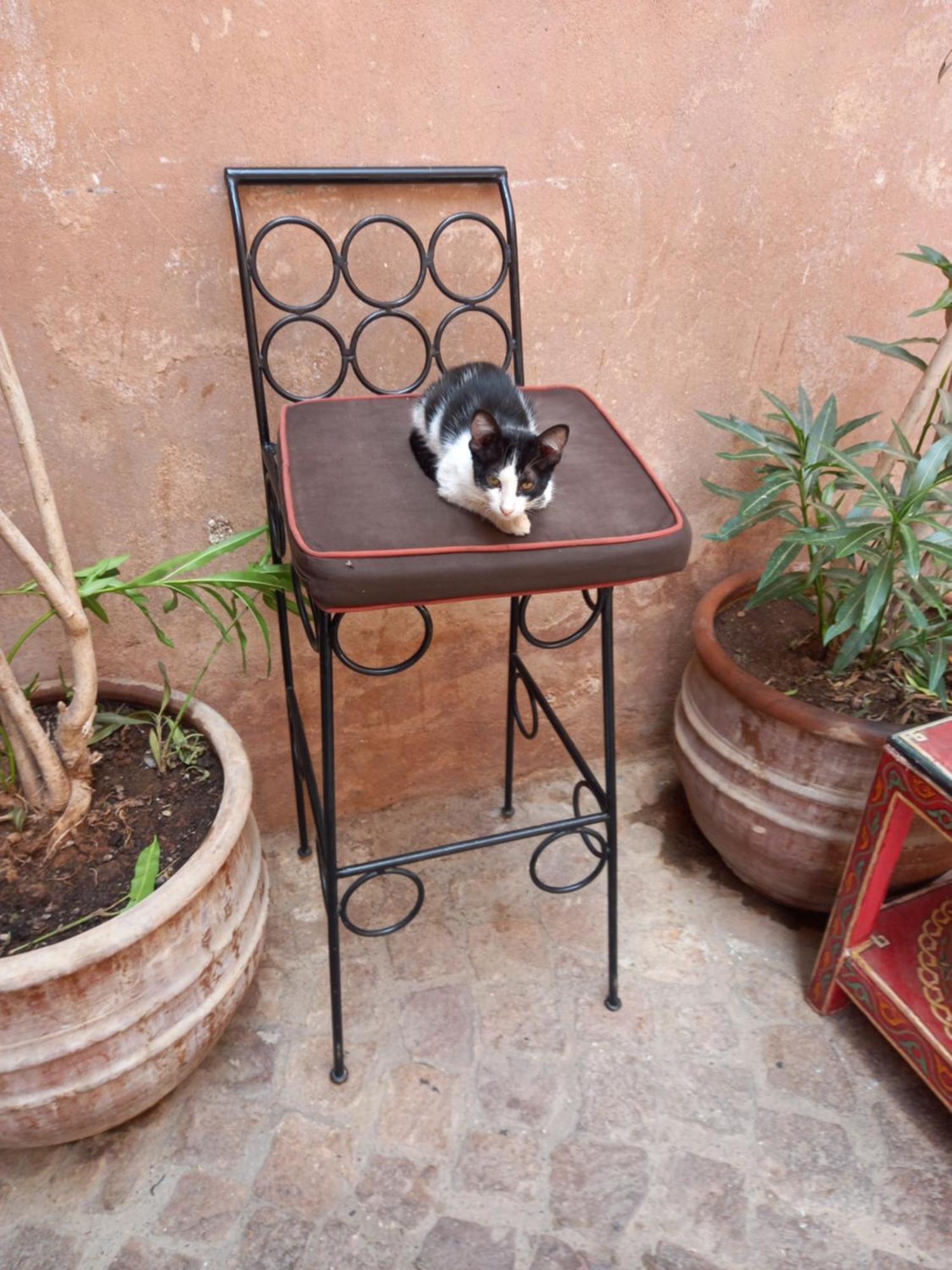 Bed and Breakfast Juli'S Marrakesh Exterior foto