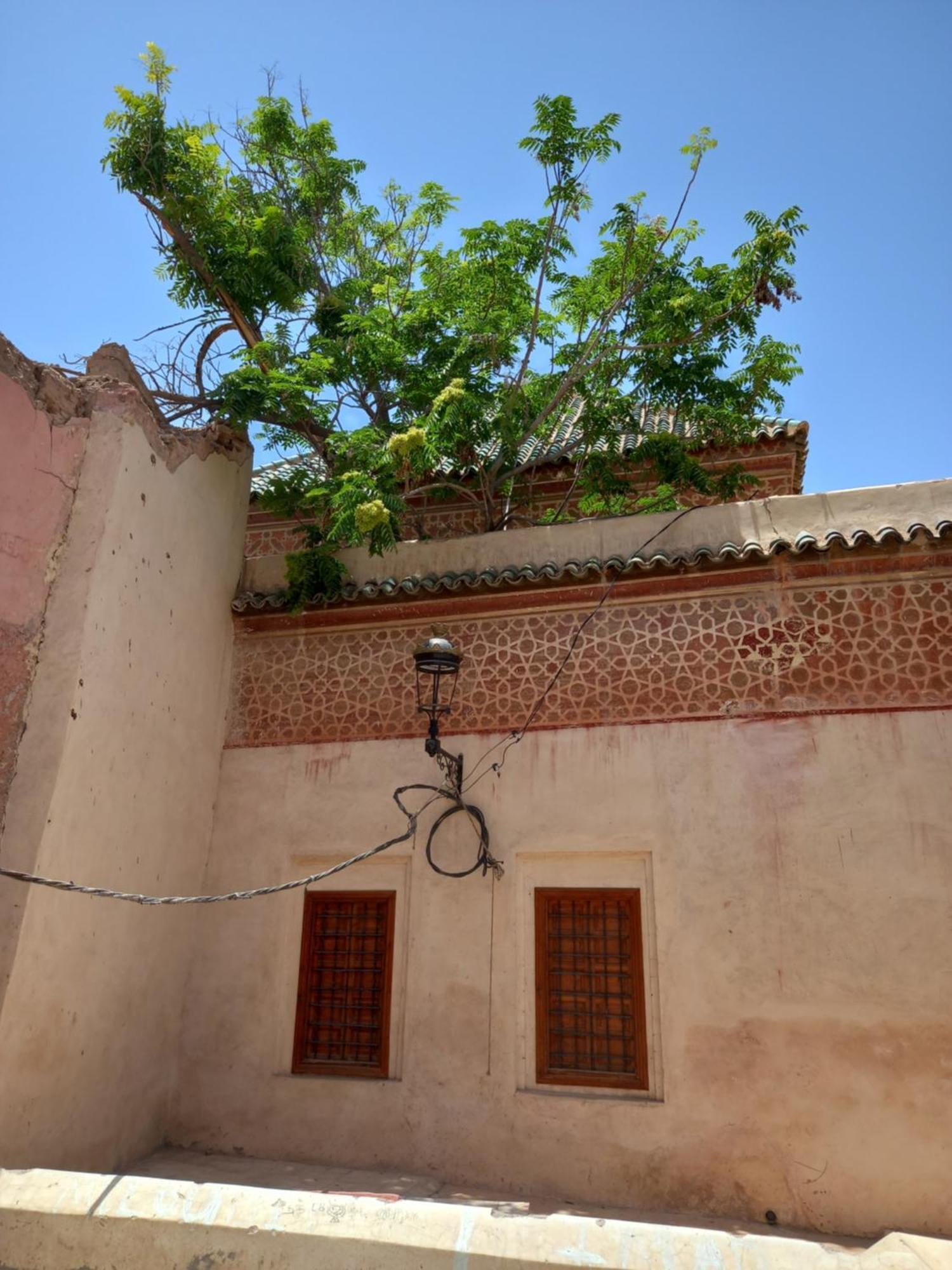 Bed and Breakfast Juli'S Marrakesh Exterior foto